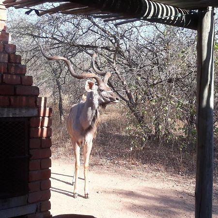 Villa Eagle'S Crest Marloth Park Exterior foto