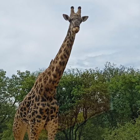Villa Eagle'S Crest Marloth Park Exterior foto