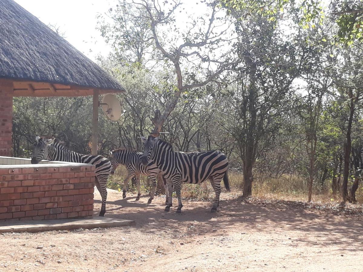 Villa Eagle'S Crest Marloth Park Exterior foto