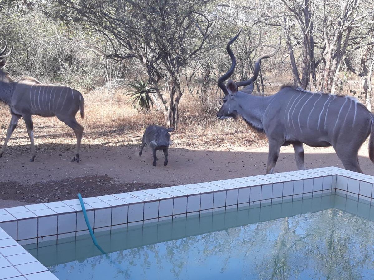 Villa Eagle'S Crest Marloth Park Exterior foto