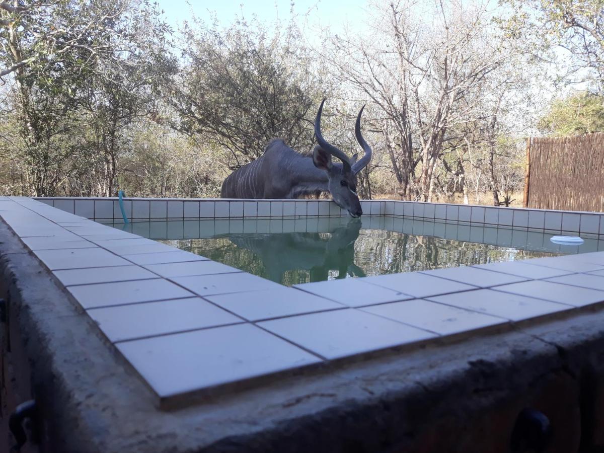 Villa Eagle'S Crest Marloth Park Exterior foto