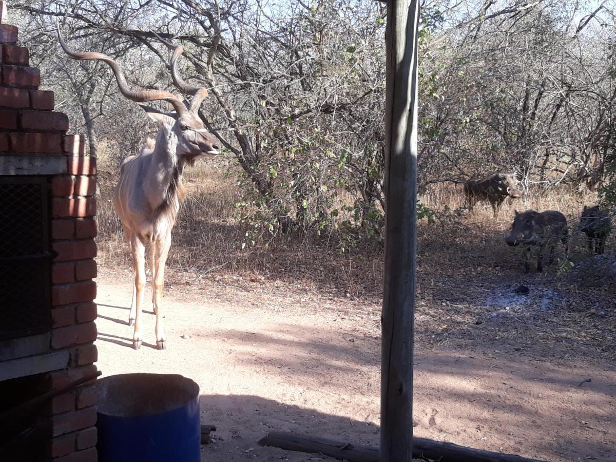 Villa Eagle'S Crest Marloth Park Exterior foto