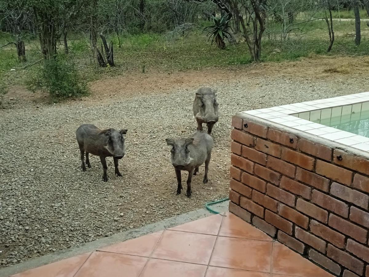 Villa Eagle'S Crest Marloth Park Exterior foto