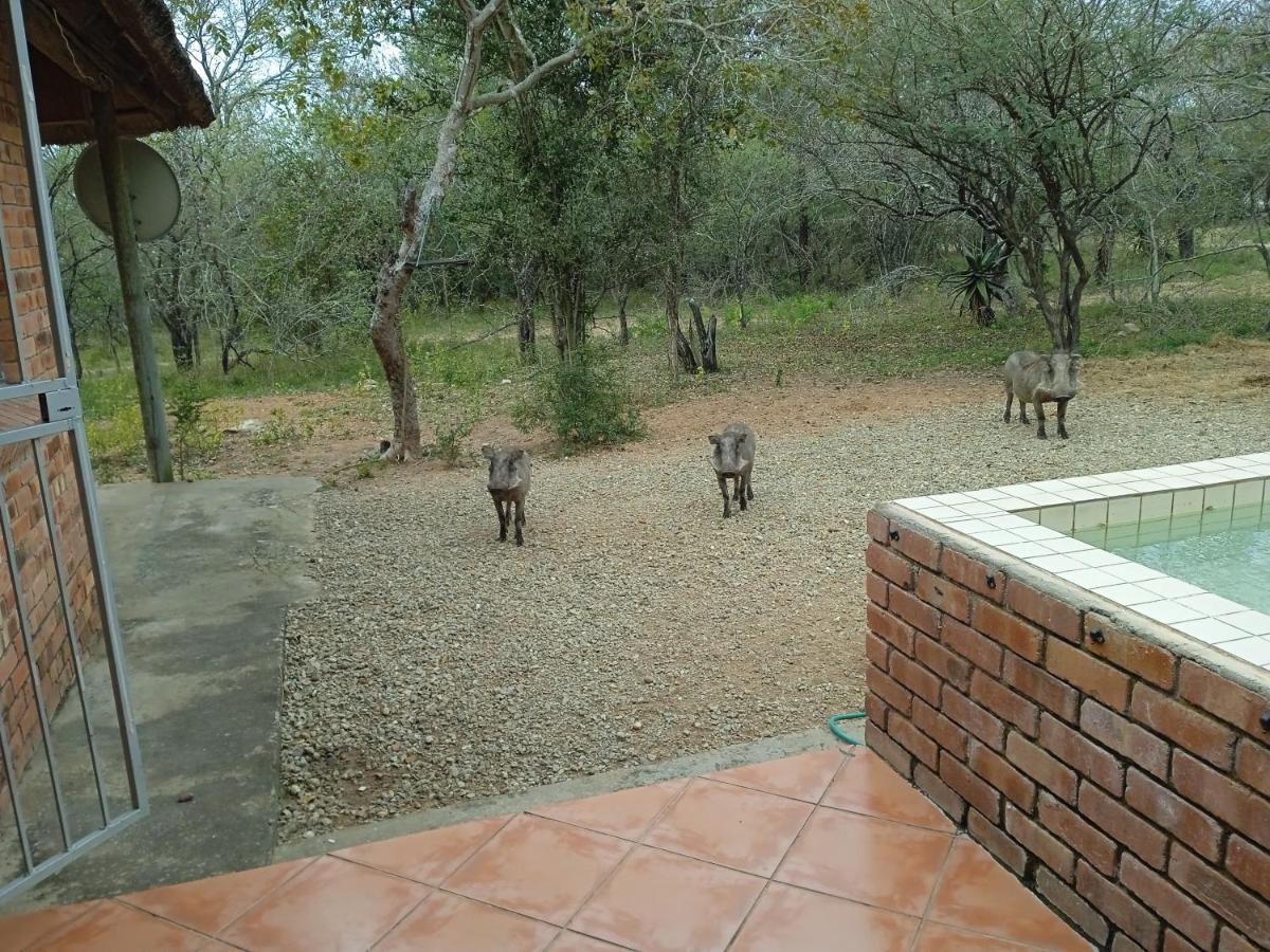 Villa Eagle'S Crest Marloth Park Exterior foto