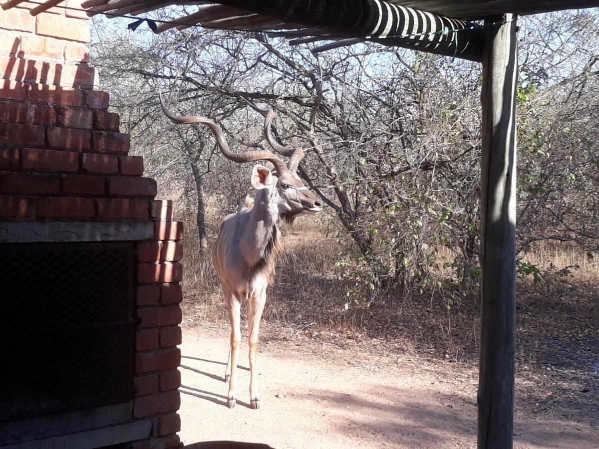 Villa Eagle'S Crest Marloth Park Exterior foto