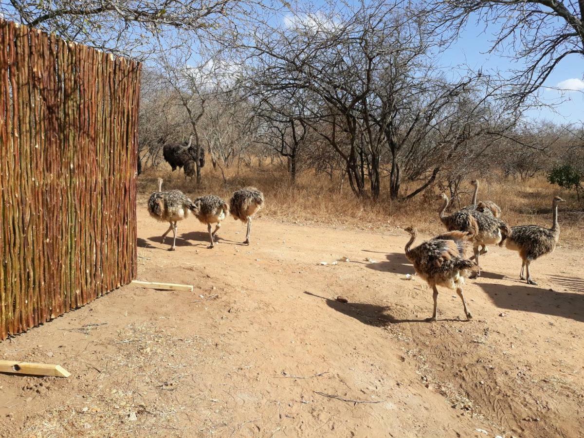 Villa Eagle'S Crest Marloth Park Exterior foto
